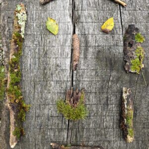 Darilna kartica - gozdna terapija (po izbiri)