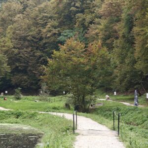 Gozdna terapija v Kristalni dolini - sobota, 22. avgust 2026 ob 16:00