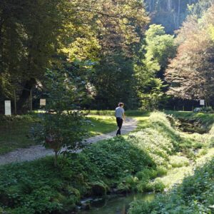 Gozdna terapija v Kristalni dolini - nedelja, 21. junij 2026 ob 10:00