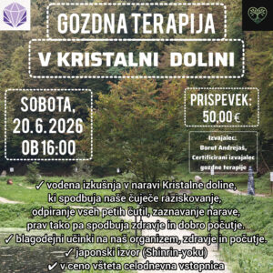 Gozdna terapija v Kristalni dolini - sobota, 20. junij 2026
